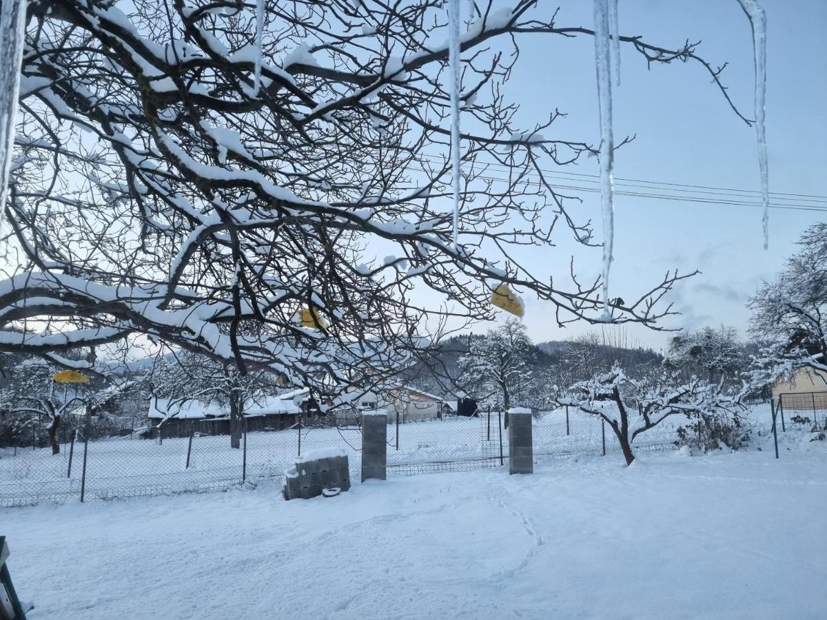 Domcek Pod Orechom Banská Štiavnica 外观 照片